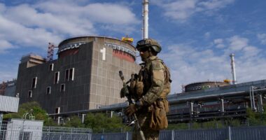 Russia Ukraine war live: UN watchdog warns of ‘major nuclear accident’ after drones hit Zaporizhzhia plant
