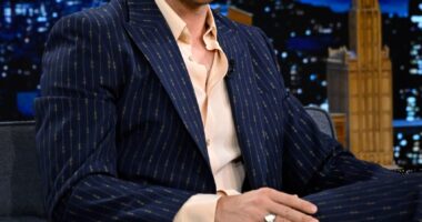 Ryan Gosling Discusses The Nice Guys and Its Lack of a Sequel Due to Angry Birds