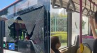 SBS bus window shatters after incident with lorry along Serangoon Garden Way - Mothership.SG