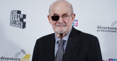 Salman Rushdie: Knife author describes moment he was stabbed onstage