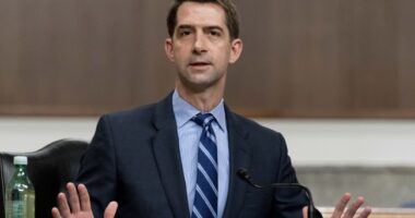 San Francisco Chronicle: GOP Senator Wants Blocked Drivers to Respond With Physical Violence