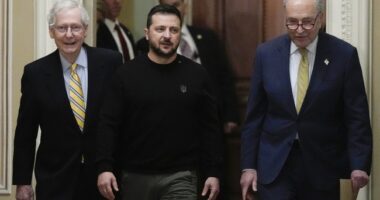 Senate Aligns With House, Passes Ukraine/Israel Foreign Aid Bill 79-18 – RedState