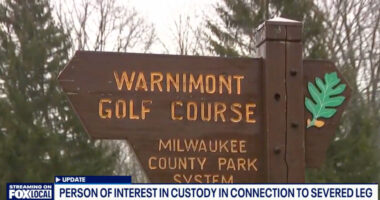 Severed Leg Found in Wisconsin Park, ‘Person of Interest’ in Custody