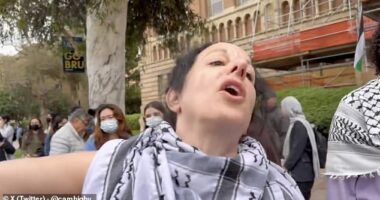 A woman was caught on camera being openly racist at a pro-Palestine demonstration in the UCLA encampment in Southern California on Saturday