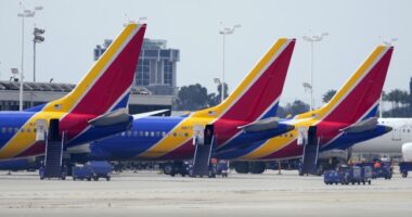 Southwest Airlines to Shed 2,000 Employees, End Service at 4 Airports As Boeing Delays Smack Bottom Line – RedState