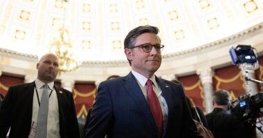 Speaker Mike Johnson is making his pitch this week to colleagues to extend the intelligence community's warrantless surveillance authority