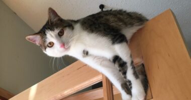 Sunday Smiles – HotAir