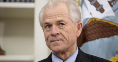 Supreme Court Denies Peter Navarro's Bid for Release From Prison Pending His Appeal – RedState