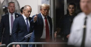 Supreme Court poised to reject Trump's claims he is immune from prosecution but could delay his trial until AFTER the election following blockbuster clashes between justices