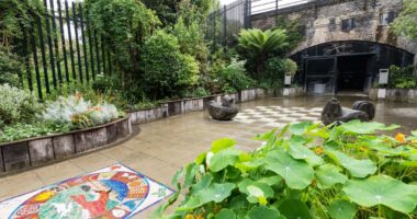Tayshan Hayden-Smith on how inner city community gardening can help mental health