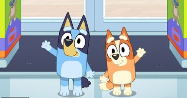 Bluey's tear-jerking finale proved to be a massive hit on ABC Kids on Sunday, with the special 28-minute episode of the animated children's show reaching 2.28million viewers in Australia