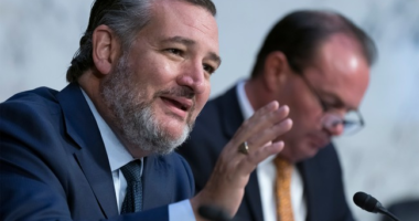 Ted Cruz, Mike Lee Take on Chuck Schumer for Tabling Mayorkas Impeachment Trial – RedState
