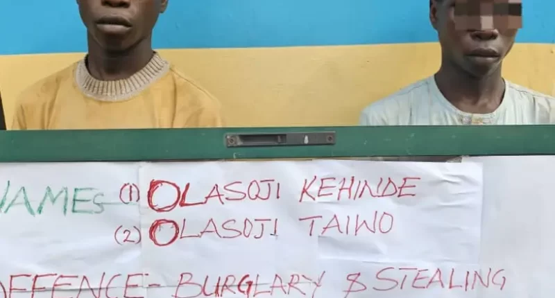 Teenage twins arrested for stealing bags of rice and beans in Ekiti
