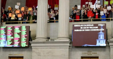 Tennessee House in Chaos After Passing Bill Allowing Teachers to Carry Concealed Guns: 'Blood on Your Hands'