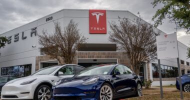 Tesla cuts prices for many of its models worldwide, slashes cost of Full Self-Driving in U.S.