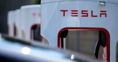 Tesla profits down 55 per cent amid job losses, delivery issues and Cybertruck recall