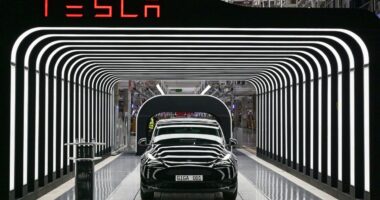 Tesla shows Wall Street a path to ‘positive catalysts,’ BofA says