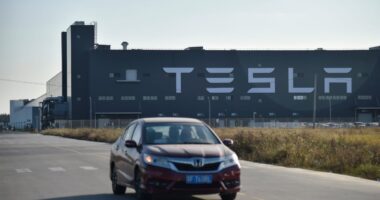 Tesla’s delivery woes suggest the EV maker has an Elon Musk problem