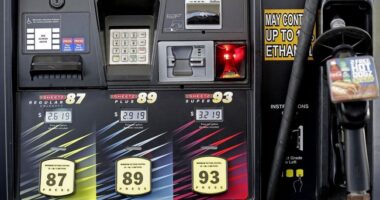 The Biden Administration Set to Sue 'Sheetz' Gas Stations for Refusing to Hire Criminals