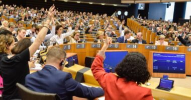 MEPs Voting