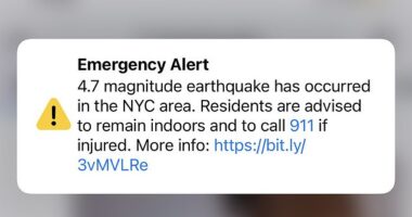 11.02 am and my iPhone started hurriedly vibrating, emitting a deeply offensive screech, the word 'EMERGENCY' shouting in bold typeface. Apparently, there'd been an earthquake in the tri-state area (magnitude 4.8).