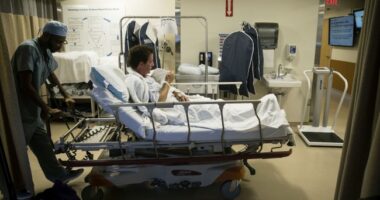 The Latest Canadian Trans Surgery Debate is Mind-Blowing – HotAir