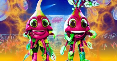 The Masked Singer’s Beets Perform Iconic Whitney Houston Ballad For Soundtrack Of My Life Night