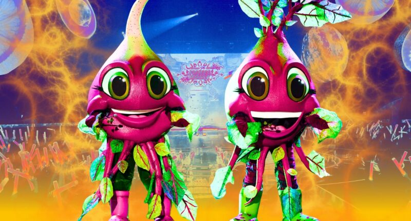 The Masked Singer’s Beets Perform Iconic Whitney Houston Ballad For Soundtrack Of My Life Night