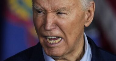 The Media Ignored the Anti-Biden Protest Votes Among Pennsylvania Democrats – HotAir