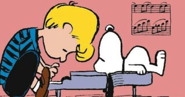 The Surprising Importance of Schroeder to Peanuts' Success