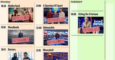 The brutal BBC bloodbath: Major dramas, an award-winning comedy and fan favourite quiz shows have all been axed - so which of your favourites have fallen victim to the cutthroat corporation?