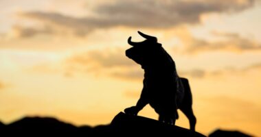 The bullish case for this asset class is building, and big investors are AWOL