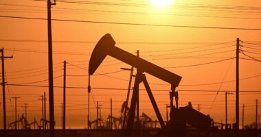 The energy sector’s on a tear. But $100 oil is not likely, says Goldman Sachs.