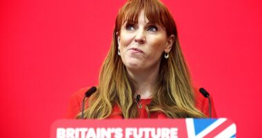 The negative publicity is a distraction for Angela Rayner's party and surely can¿t be pleasant for her family and friends?
