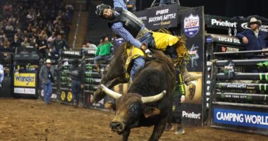 The stock market is testing the bulls to see if they have what it takes