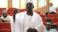 The timing is wrong - Senate Chief Whip, Ali Ndume kicks against electricity tariff hike