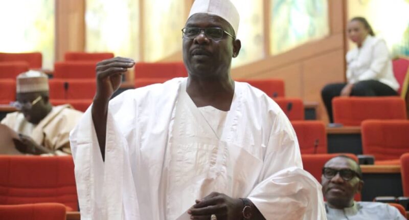 The timing is wrong - Senate Chief Whip, Ali Ndume kicks against electricity tariff hike