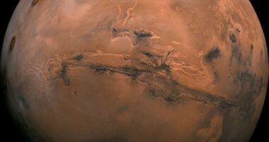 There Are No Spiders From Mars – RedState