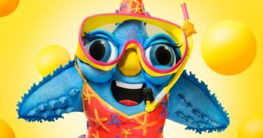 These Clues In Last Night’s The Masked Singer All But Confirmed Starfish’s Identity (Why I Think I Know Who It Is)