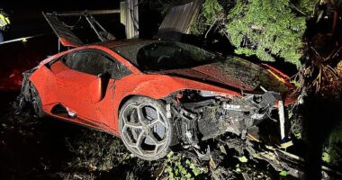 A 13-year-old destroyed a $500,000 Lamborghini after conning its seller into thinking he was older and crashing it into a ditch during a joyride