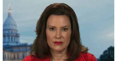 This Is the Cover of MI Gov. Whitmer's Upcoming Book (and It Was 'Begging for a Spoof')