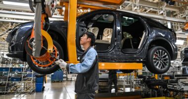 This intervention can help Tesla and other carmakers compete against China’s EV subsidies