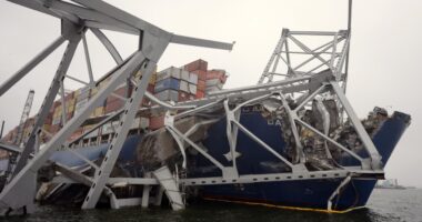 This is how the Port of Baltimore will bounce back after bridge collapse
