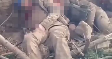 Footage, which is too graphic for MailOnline to share, is alleged to show Russian servicemen in Krynky shooting dead unarmed, immobile soldiers with what appear to be assault rifles