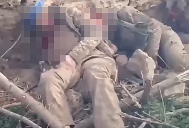 Footage, which is too graphic for MailOnline to share, is alleged to show Russian servicemen in Krynky shooting dead unarmed, immobile soldiers with what appear to be assault rifles