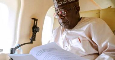 Tinubu to embark on fresh overseas trip to the Netherlands and Saudi Arabia