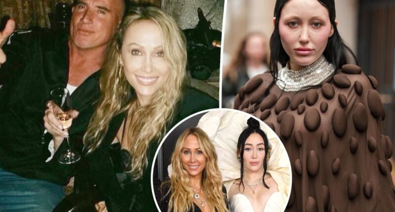 Tish Cyrus, Dominic Purcell sought therapy amid Noah Cyrus drama: report