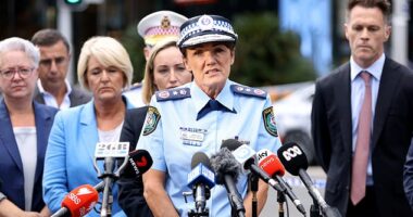 NSW police commissioner Karen Webb has revealed it could take weeks before all six victims of the horrific Bondi Junction attack have been identified