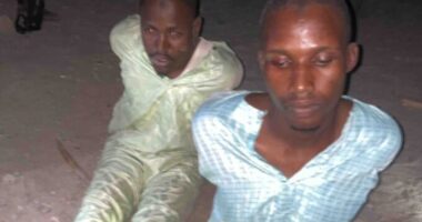 Troops arrest six ?Boko Haram logistics suppliers? in Borno