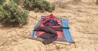 Troops avert terrorists